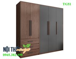 Tủ quần áo gia đình TG51 với vẻ đẹp hiện đại